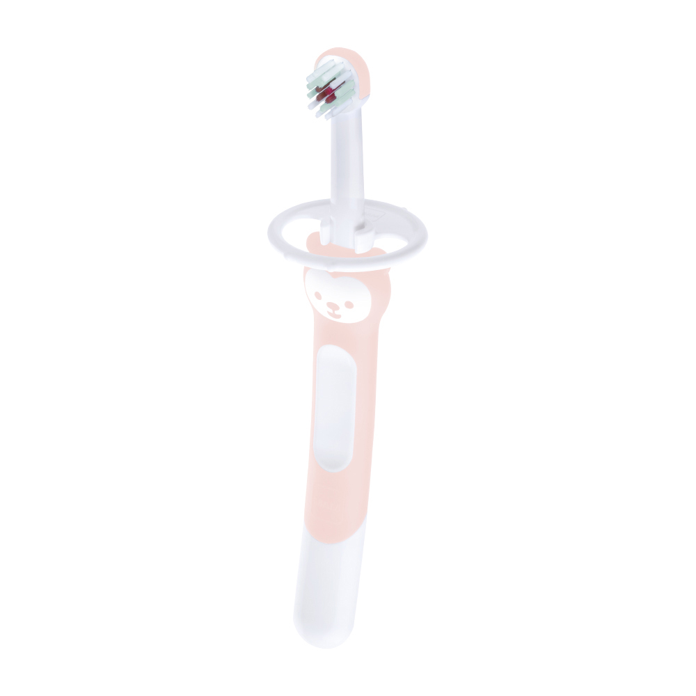 Training Brush (亲子牙刷)